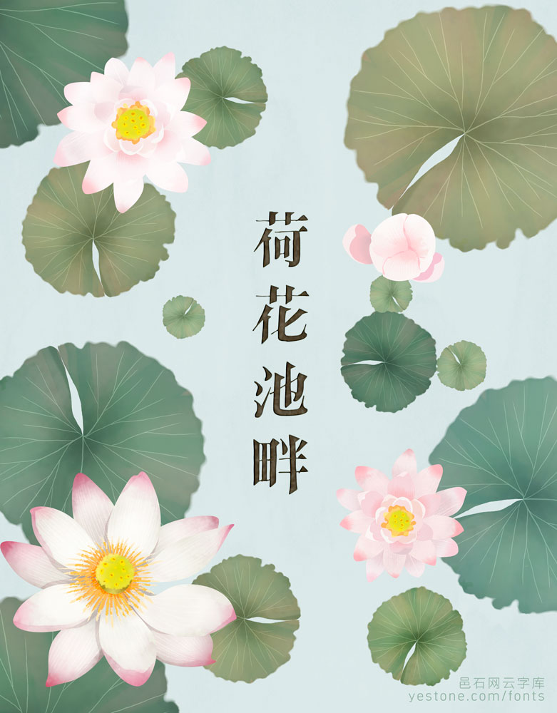 文鼎DC老外宋