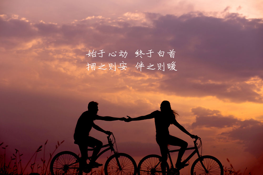 文鼎DC黄阳仿于右任体