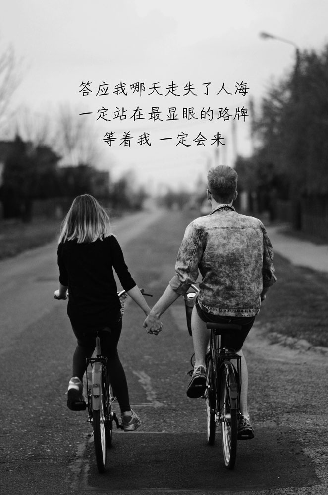 文鼎TX 暖心体_L